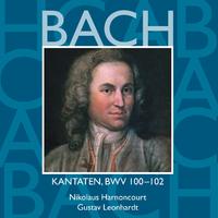 Bach: Kantaten, BWV 100 - 102