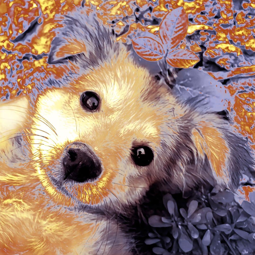 [Tek It] Jersey Club Beat