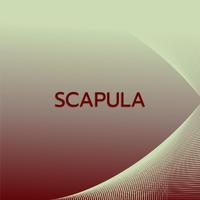 Scapula