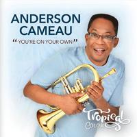 Anderson Cameau - You Are on Your Own Brother (feat. Madner Henry, Isaac Velasquez, Dony Felix, Jonathan Laurince & Ketler Macome)