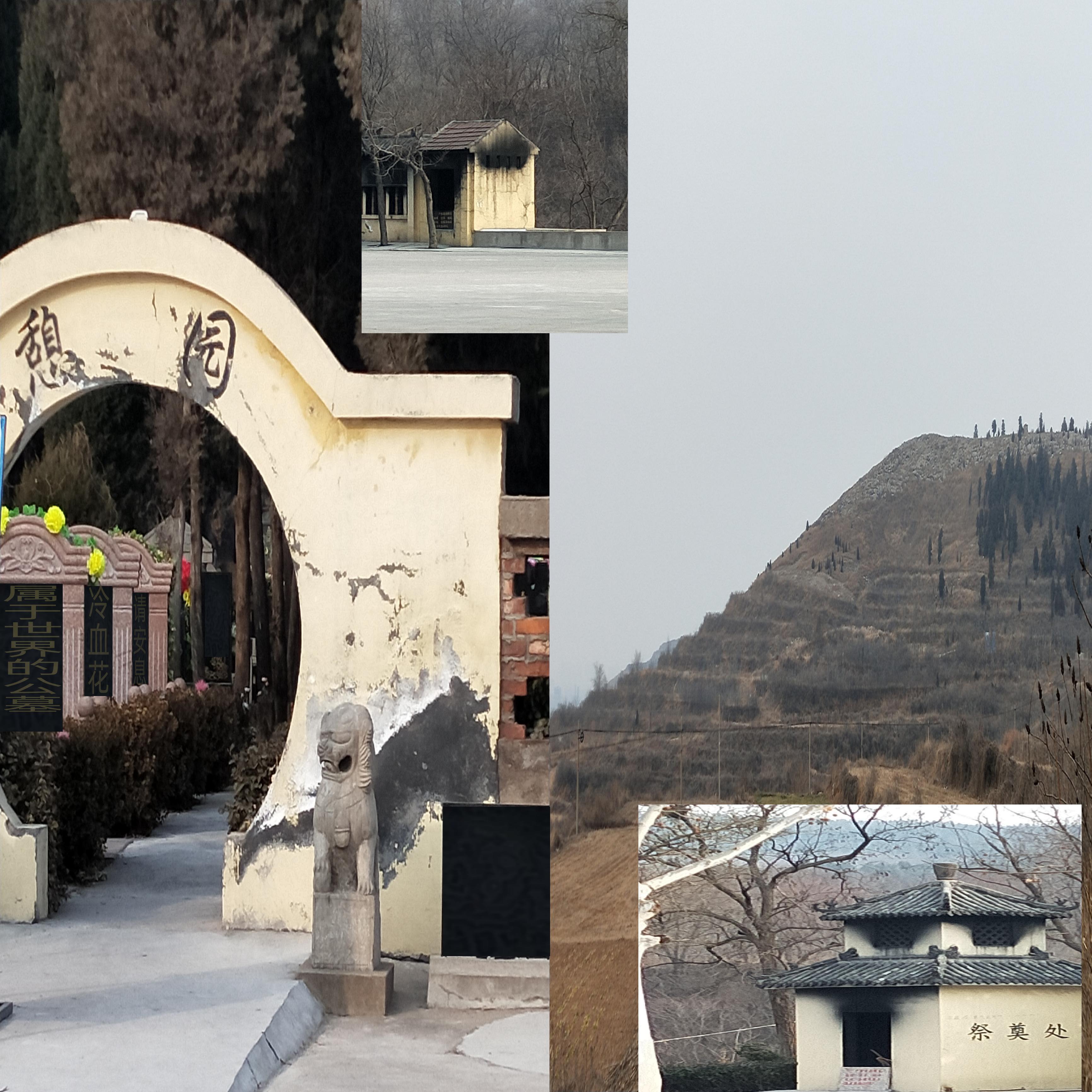 傍晚的臭水沟里隐藏着所有秘密