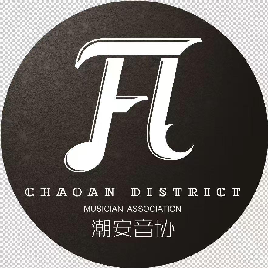 自导自演 伴奏封面
