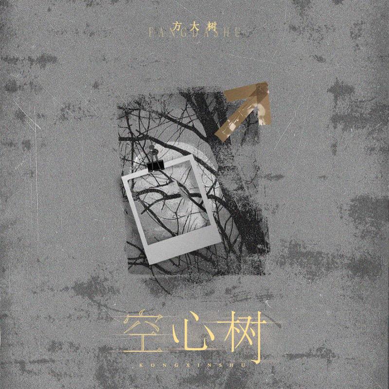 空心树 (伴奏)封面