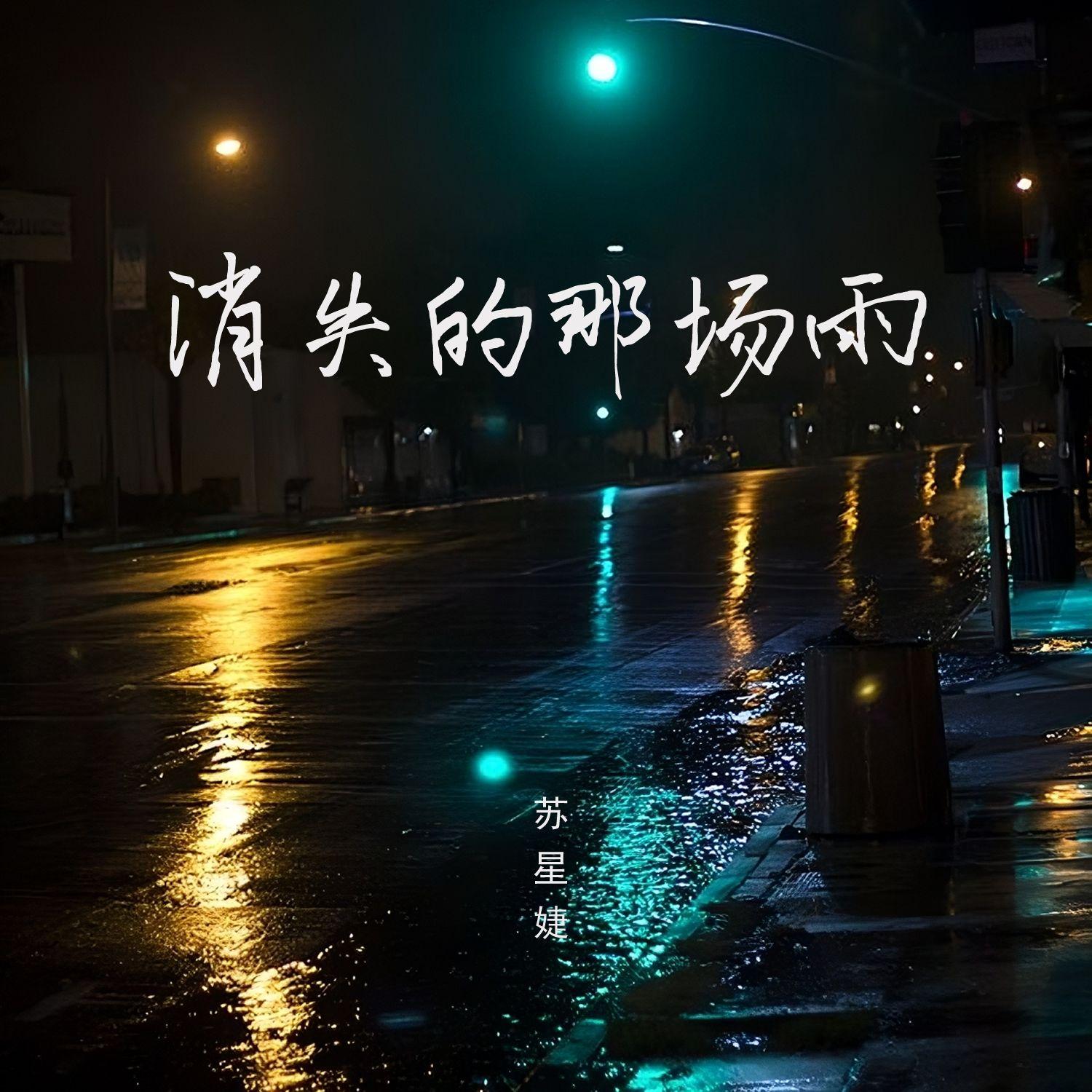 消失的那场雨封面