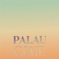 Palau Cane