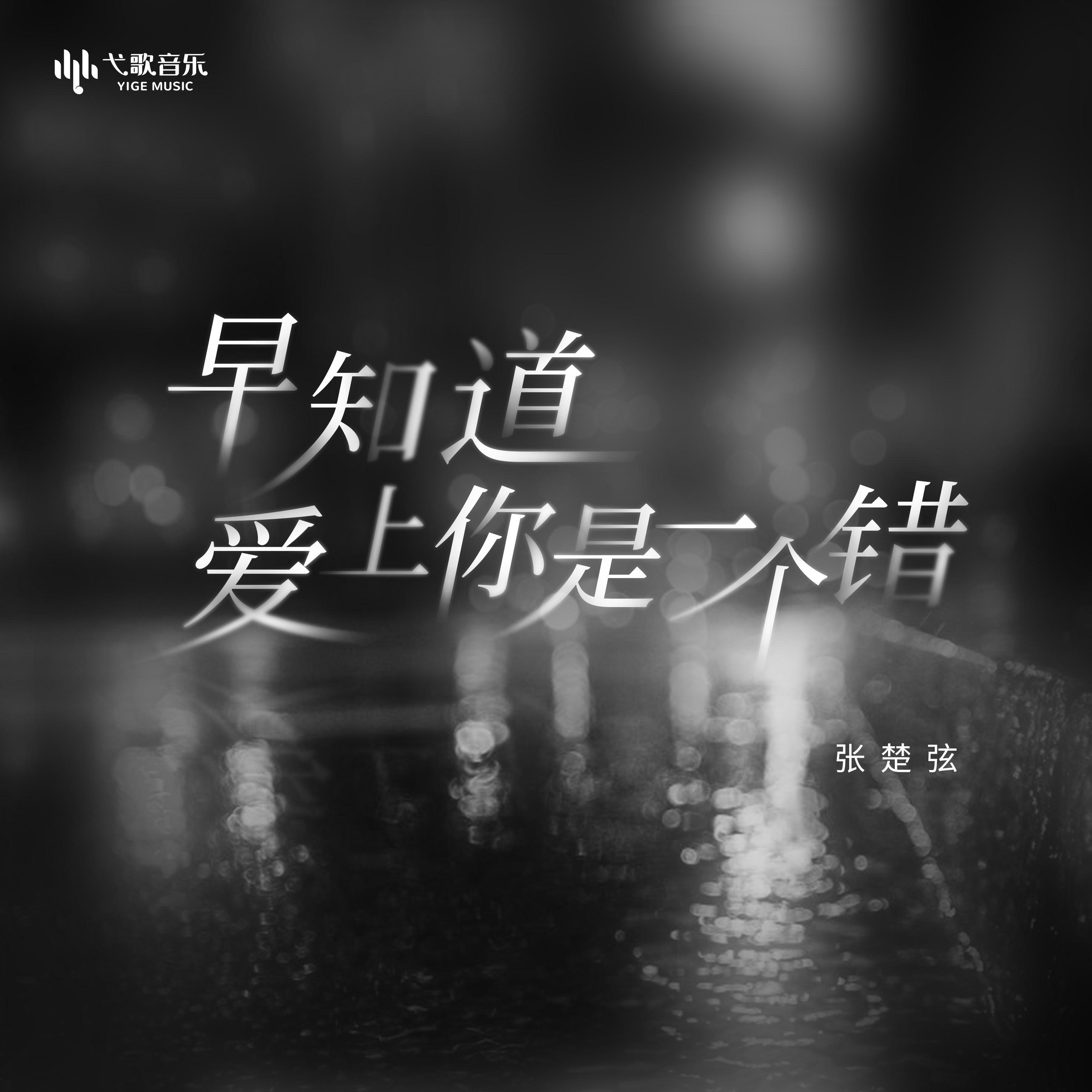 早知道爱上你是一个错封面