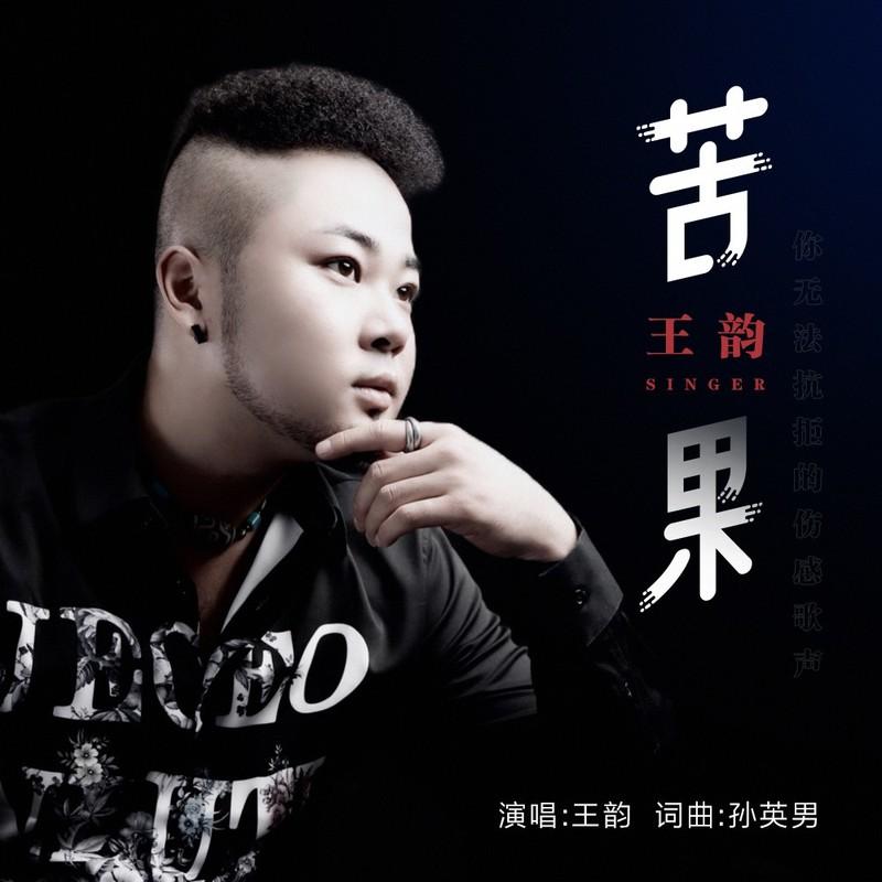 苦果 (DJ名龙版) - 王韵封面