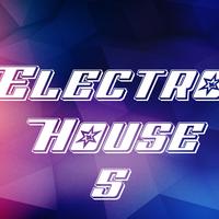 Electro House, Vol. 5