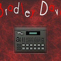 Bradley Davis资料,Bradley Davis最新歌曲,Bradley DavisMV视频,Bradley Davis音乐专辑,Bradley Davis好听的歌