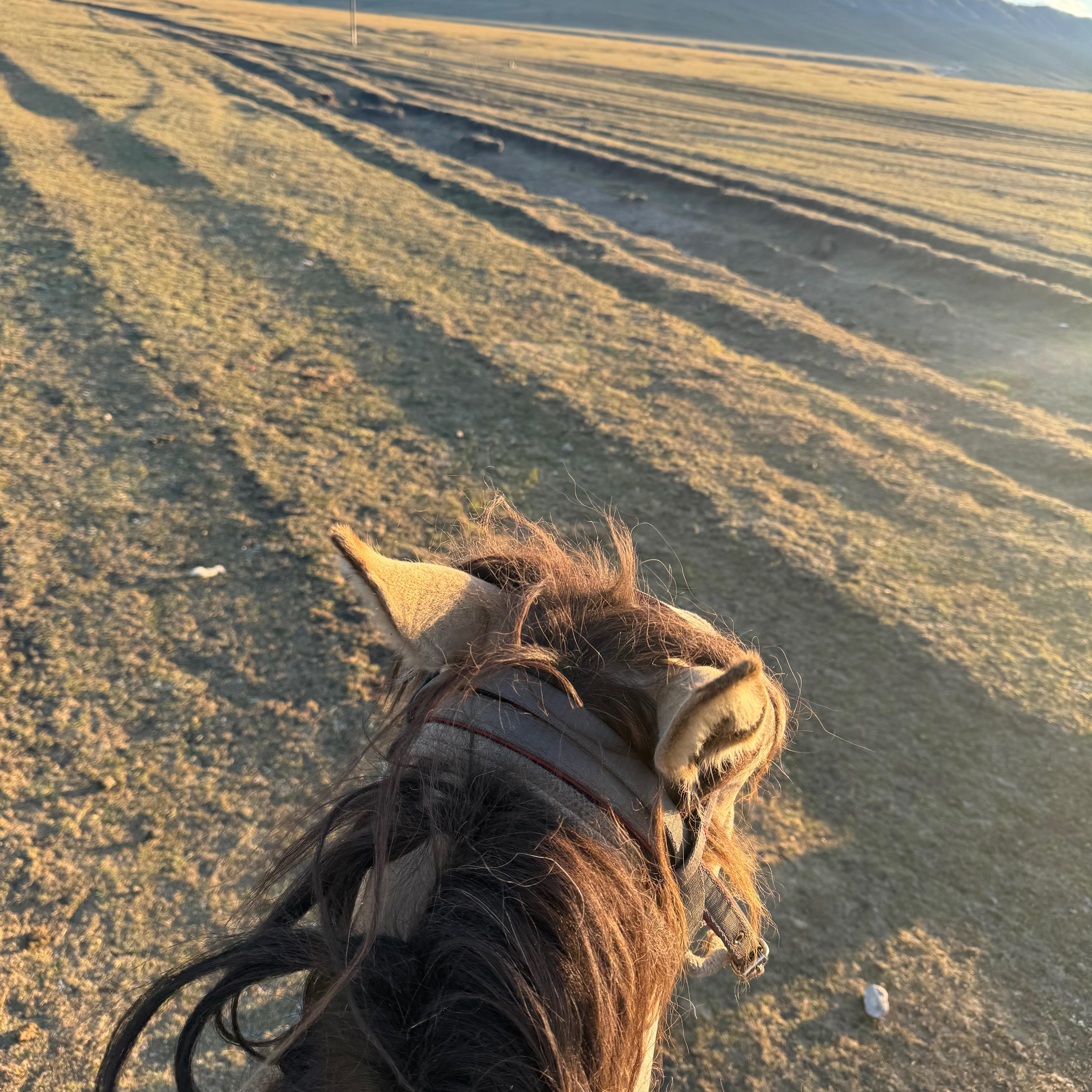 NOA （在月亮下）