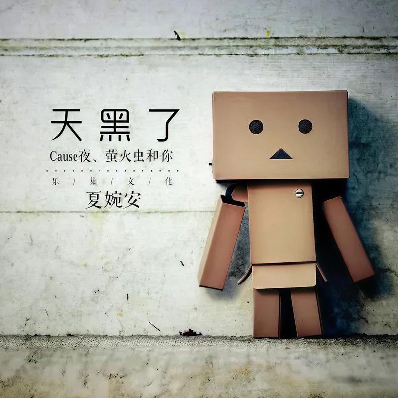 天黑了 (伴奏) - 夏婉安封面