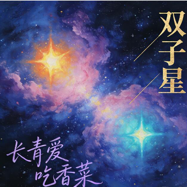 双子星封面