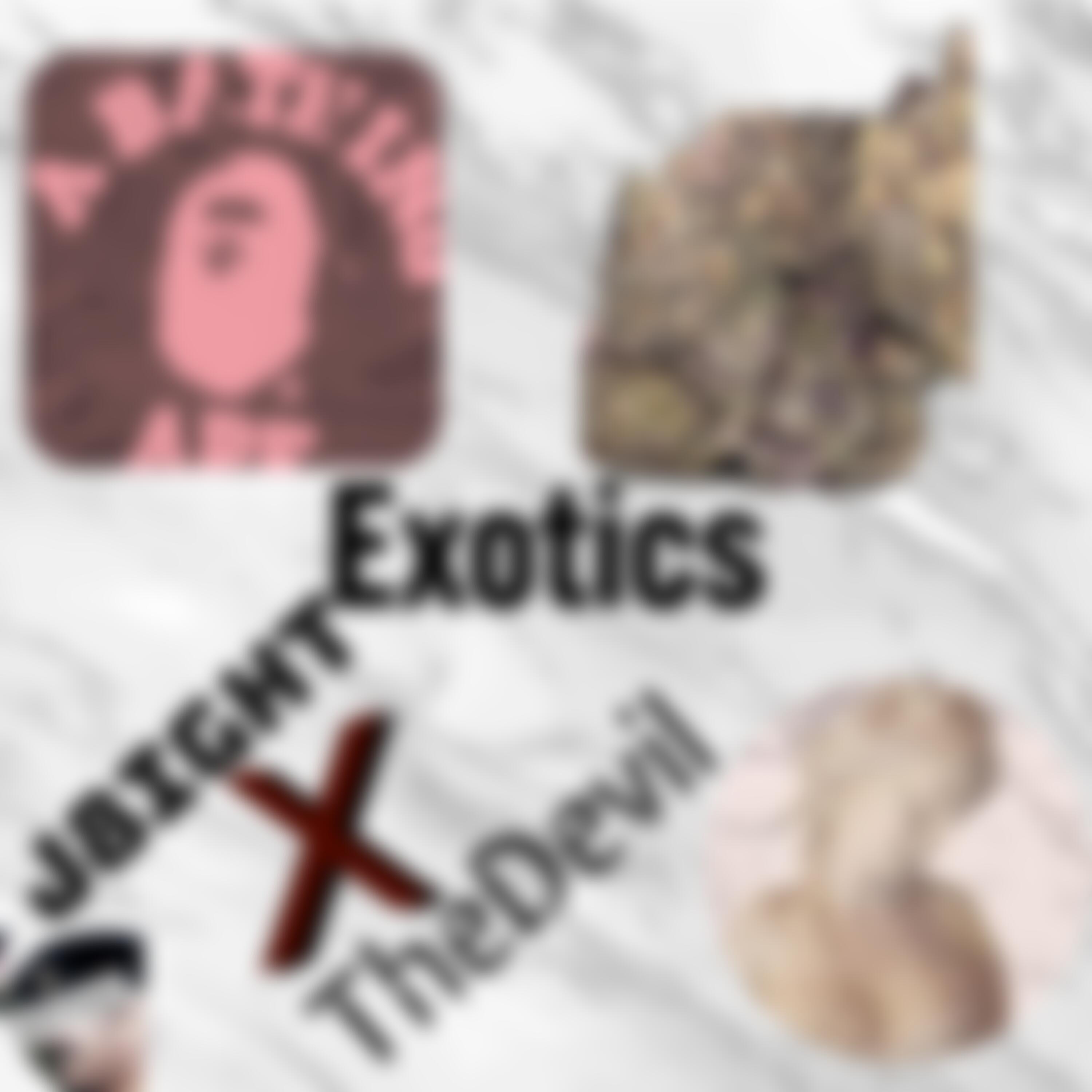 Exotics (feat. TheDevil)