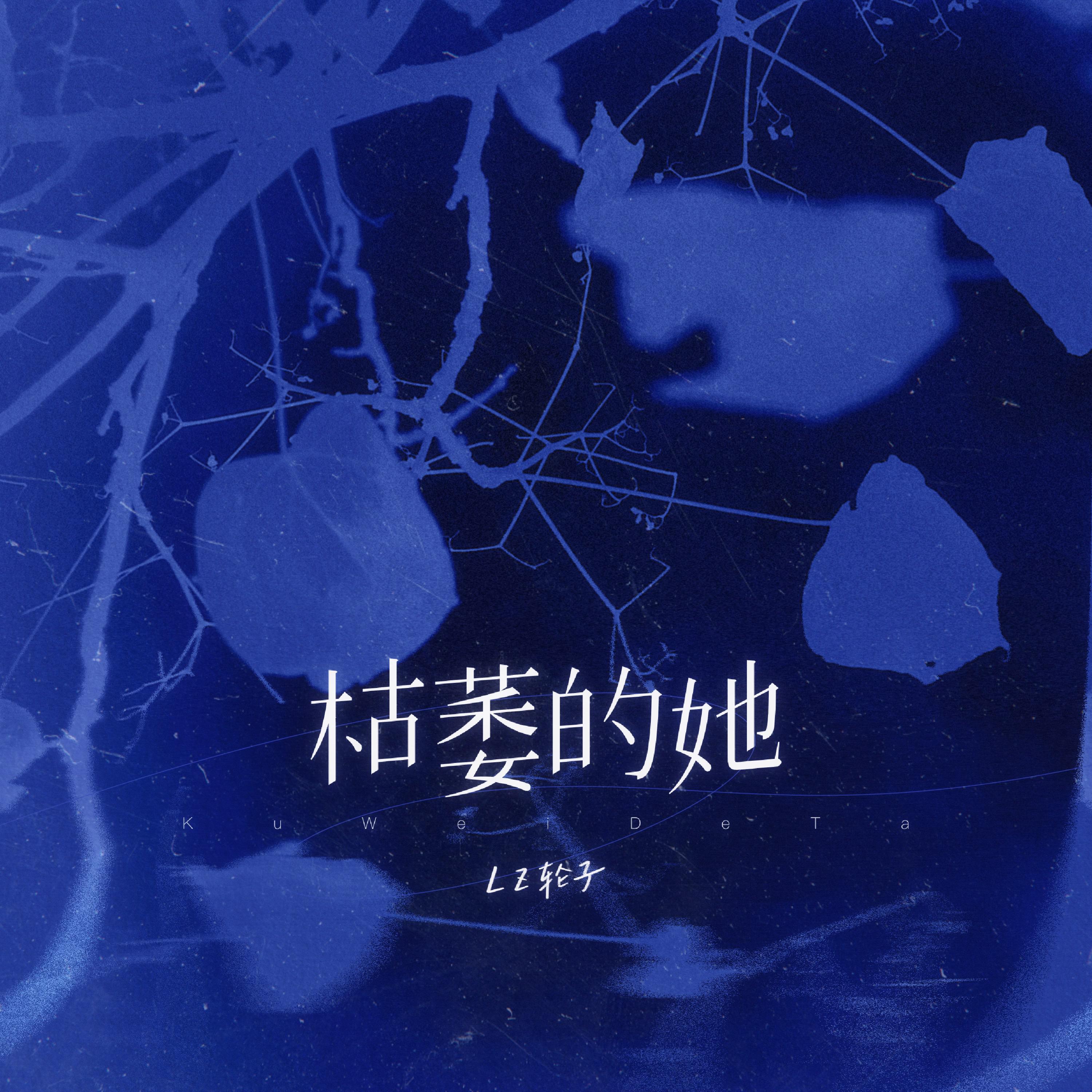 song-img