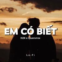 Em Có Biết (Lofi)