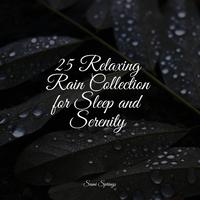 25 Relaxing Rain Collection for Sleep and Serenity