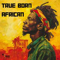 True Born African (feat. Winston Jarrett)