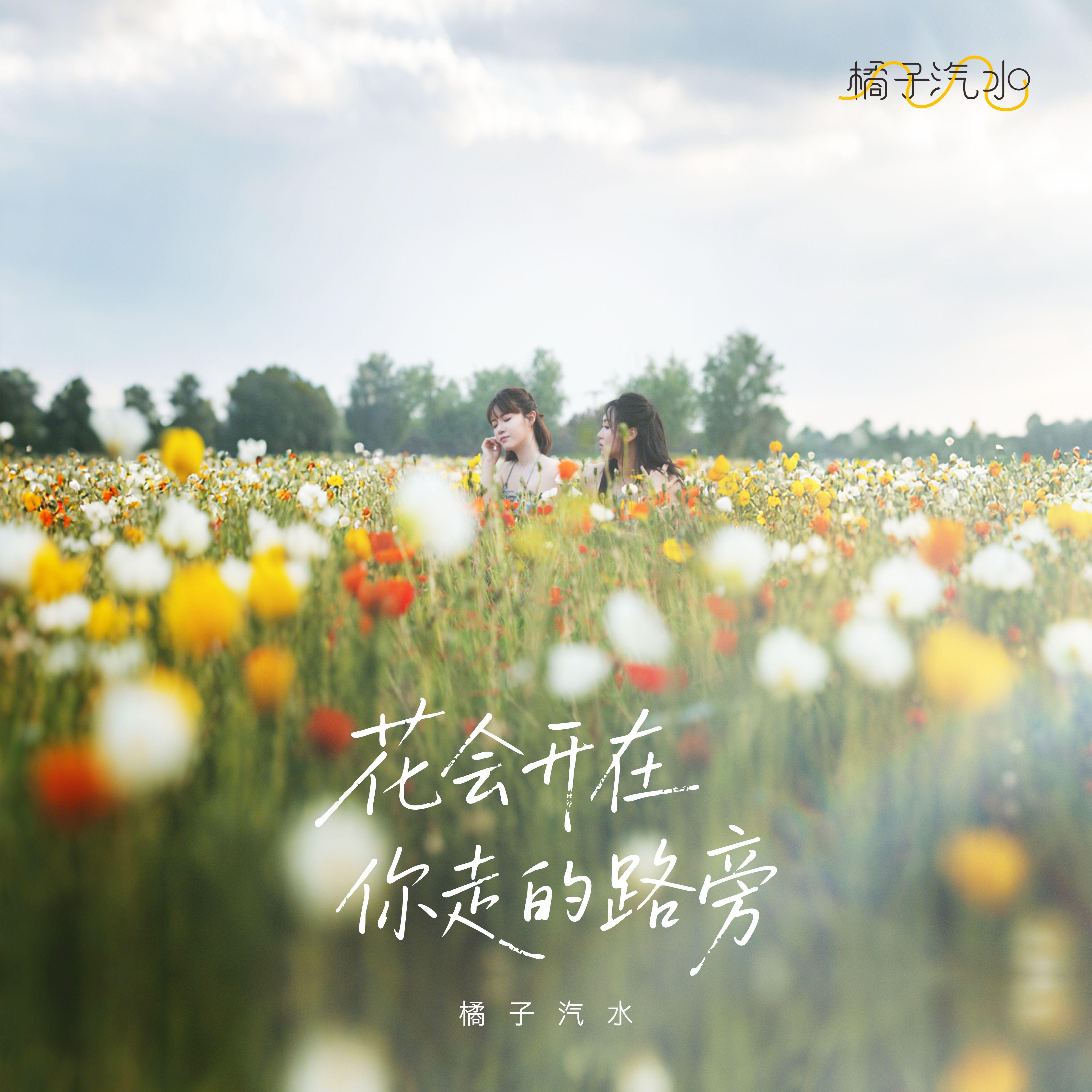 花会开在你走的路旁封面