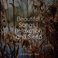 Beautiful Songs | Relaxation and Sleep