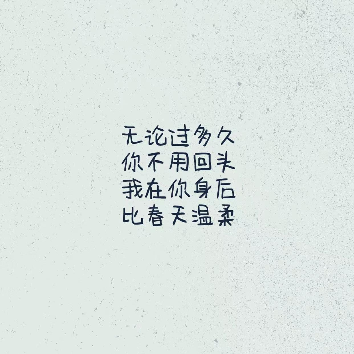 手心的太阳封面