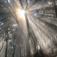 Loerai资料,Loerai最新歌曲,LoeraiMV视频,Loerai音乐专辑,Loerai好听的歌