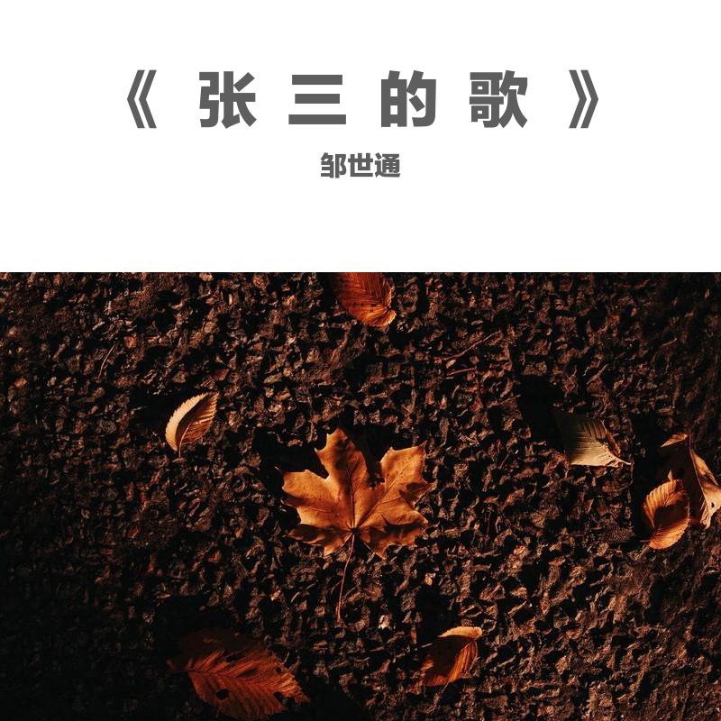 张三的歌_(Cover李寿全)  邹世通