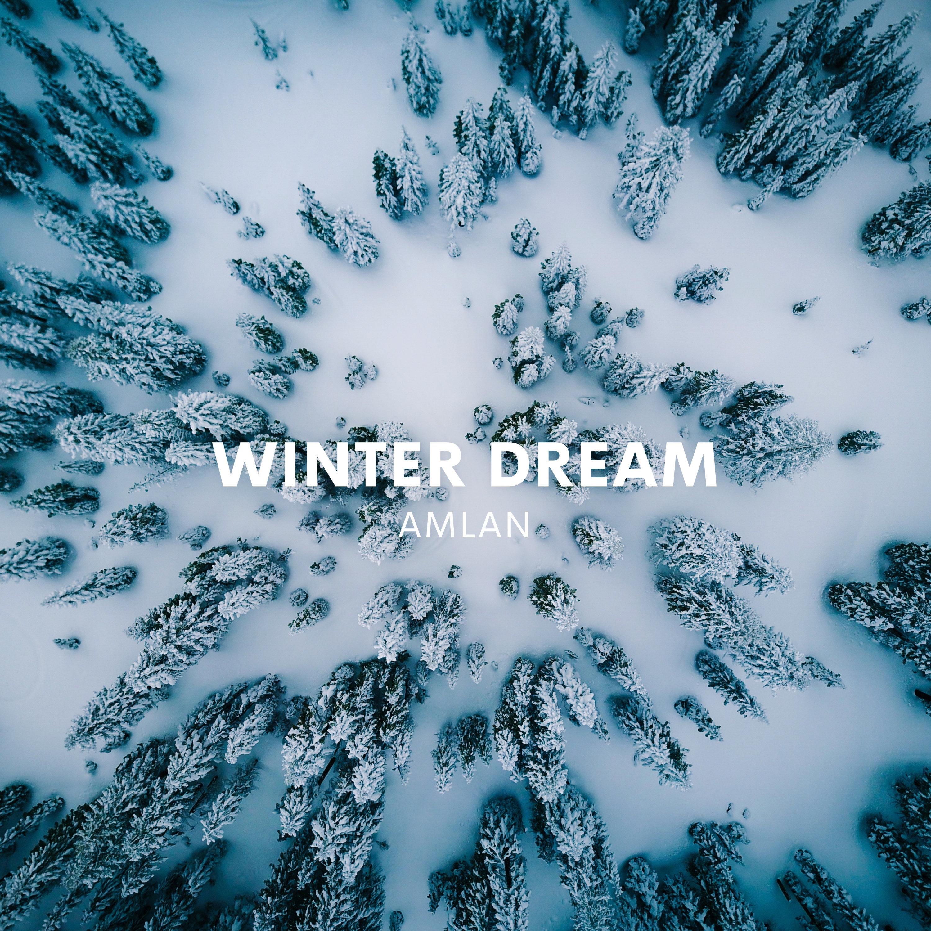 Winter Dream