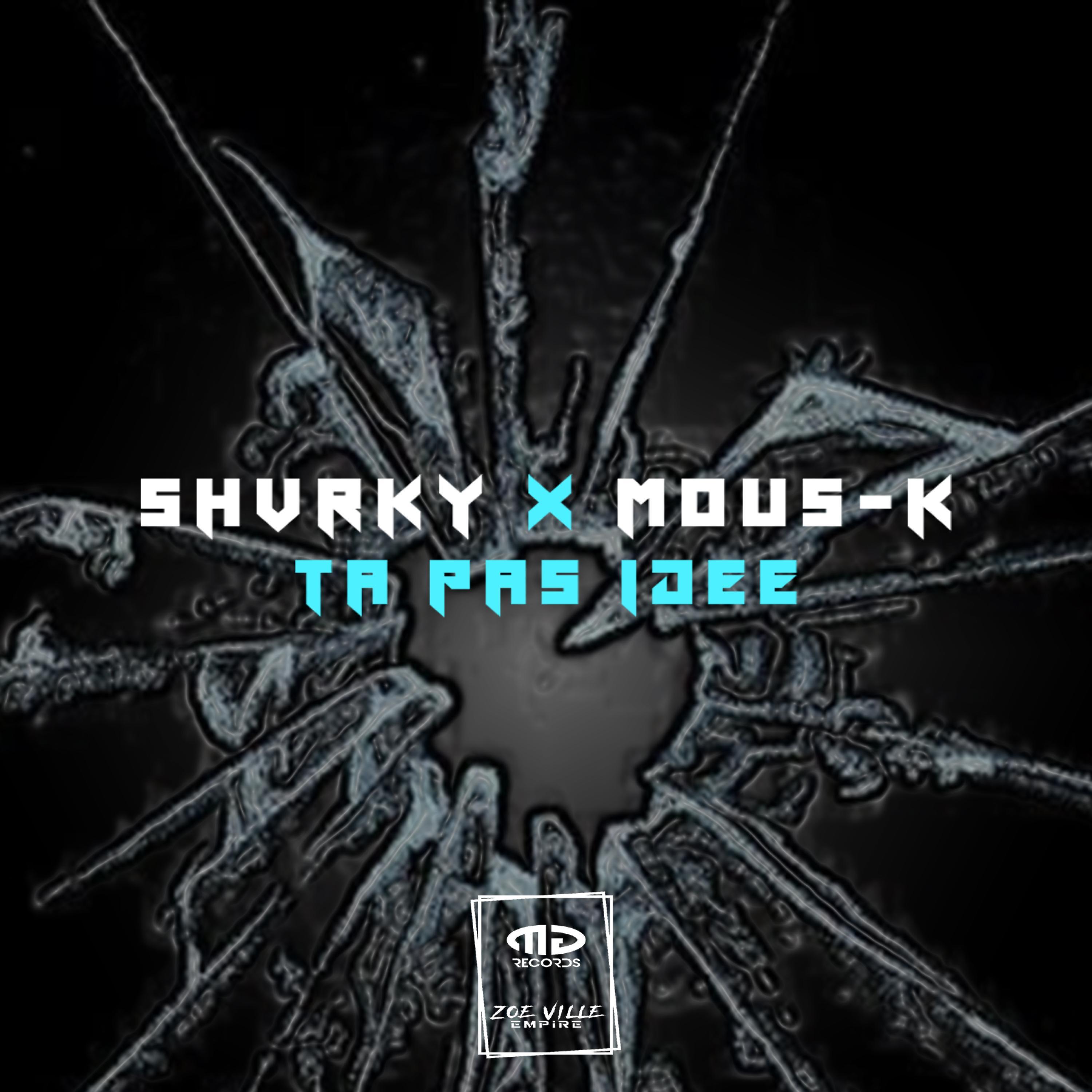 Ta Pas Idée (feat. Mous-K)