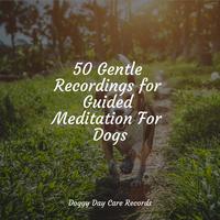 50 Gentle Recordings for Guided Meditation For Dogs