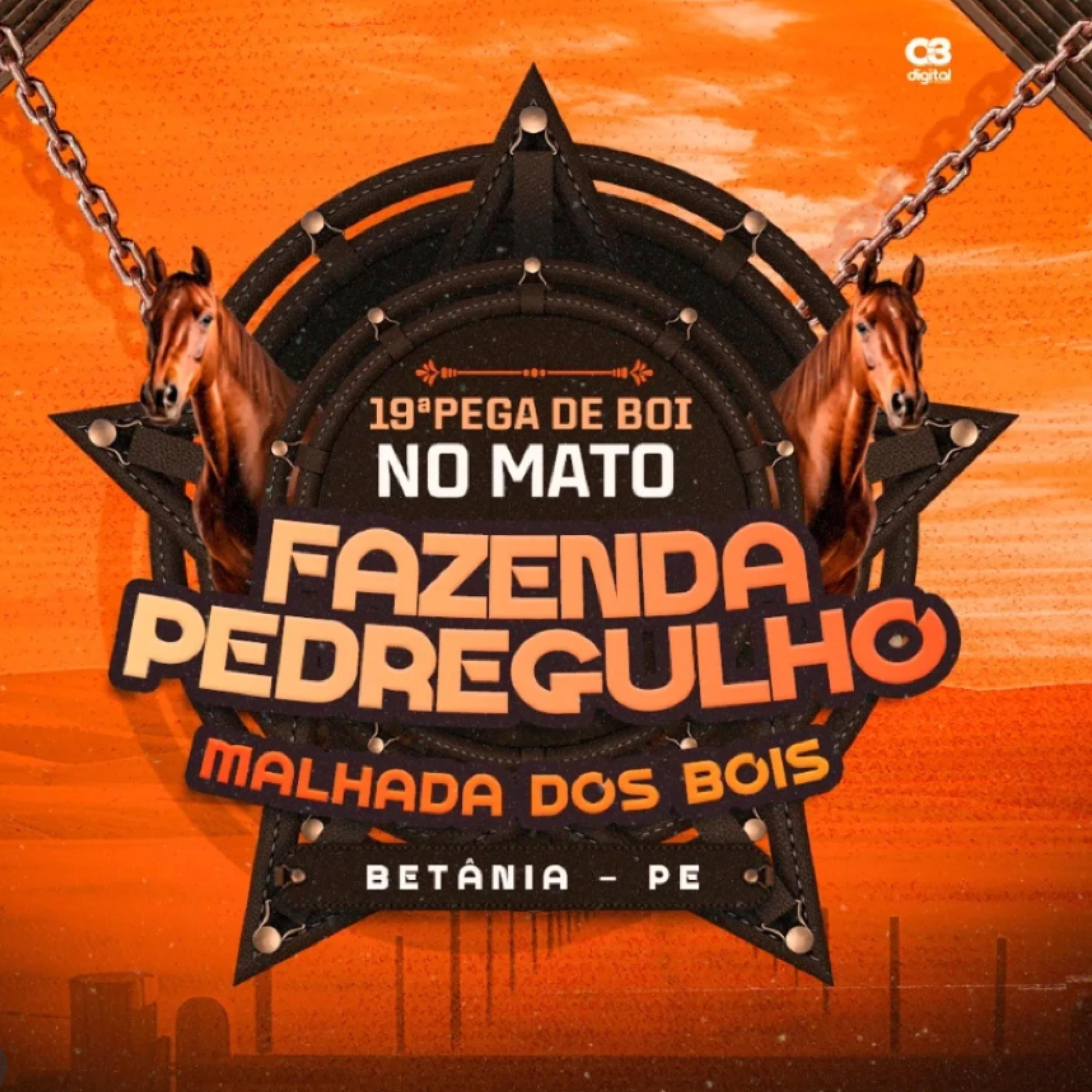 Fazenda Pedregulho 2.0