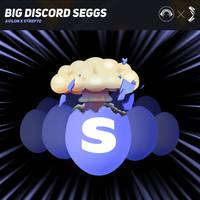 Big Discord Seggs