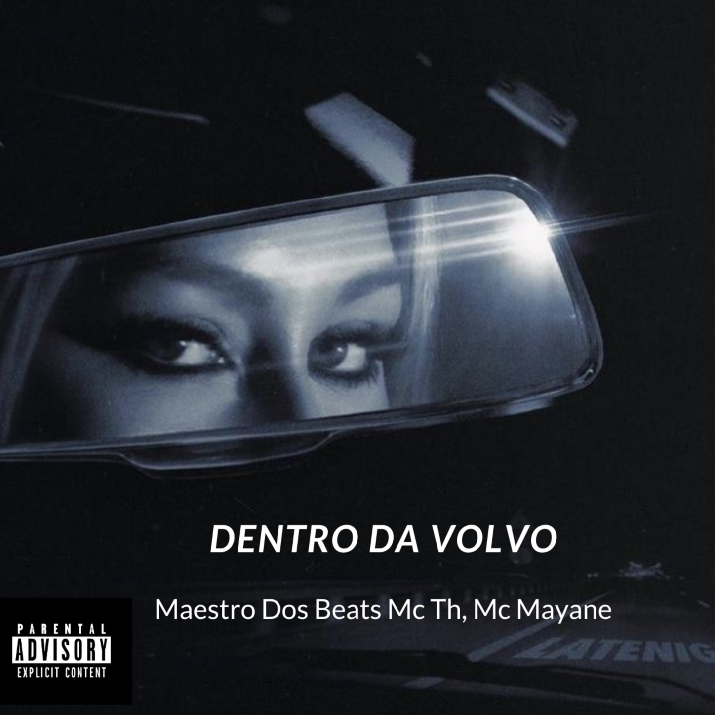 Dentro Da Volvo