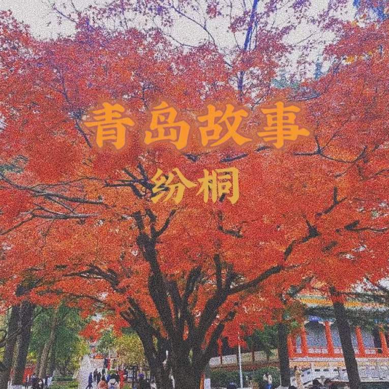 榻榻米choc封面