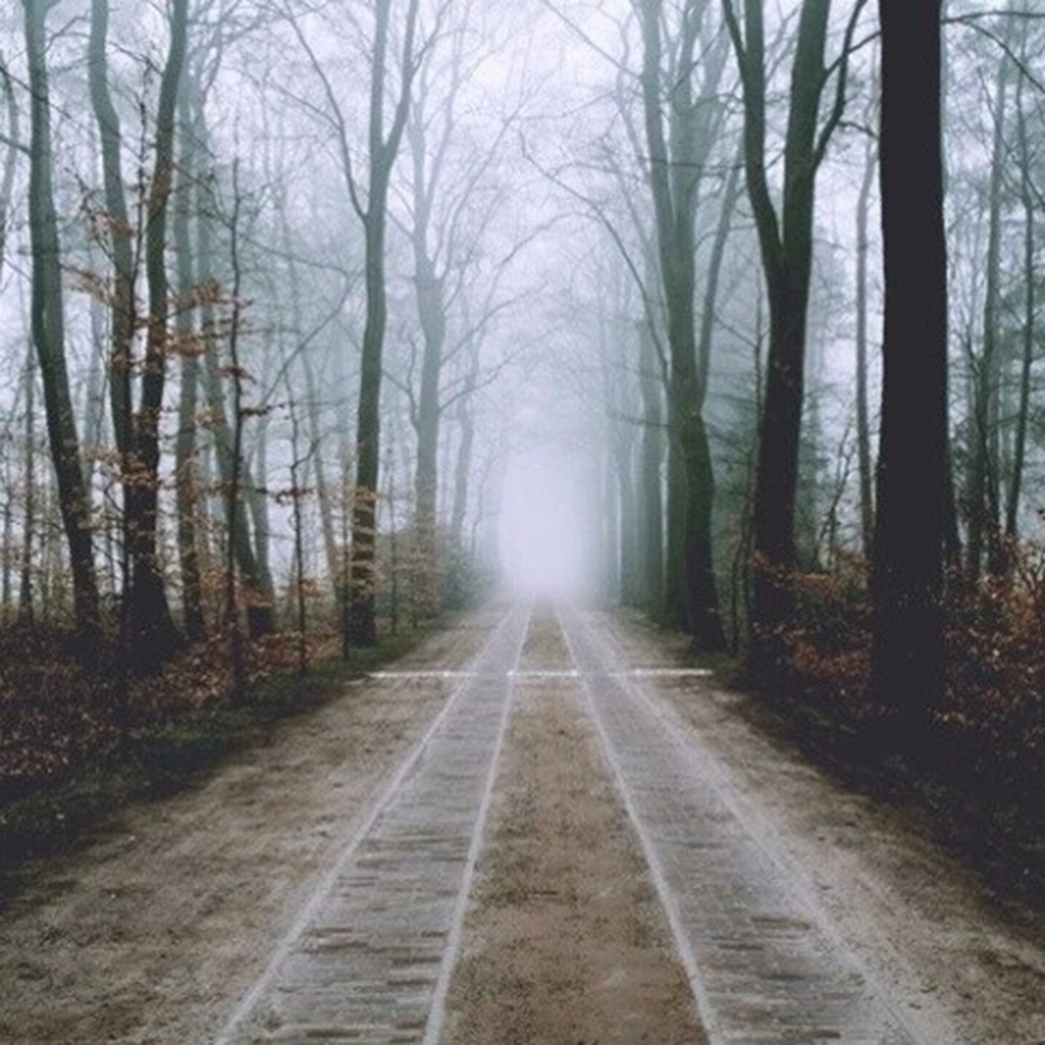 Morning Song_Crywolf_Morning Song | 在线播放_Morning Song歌词_Morning Song下载 | 网易云音乐