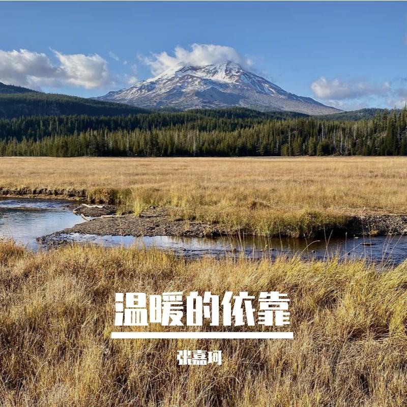 破碎的呐喊封面