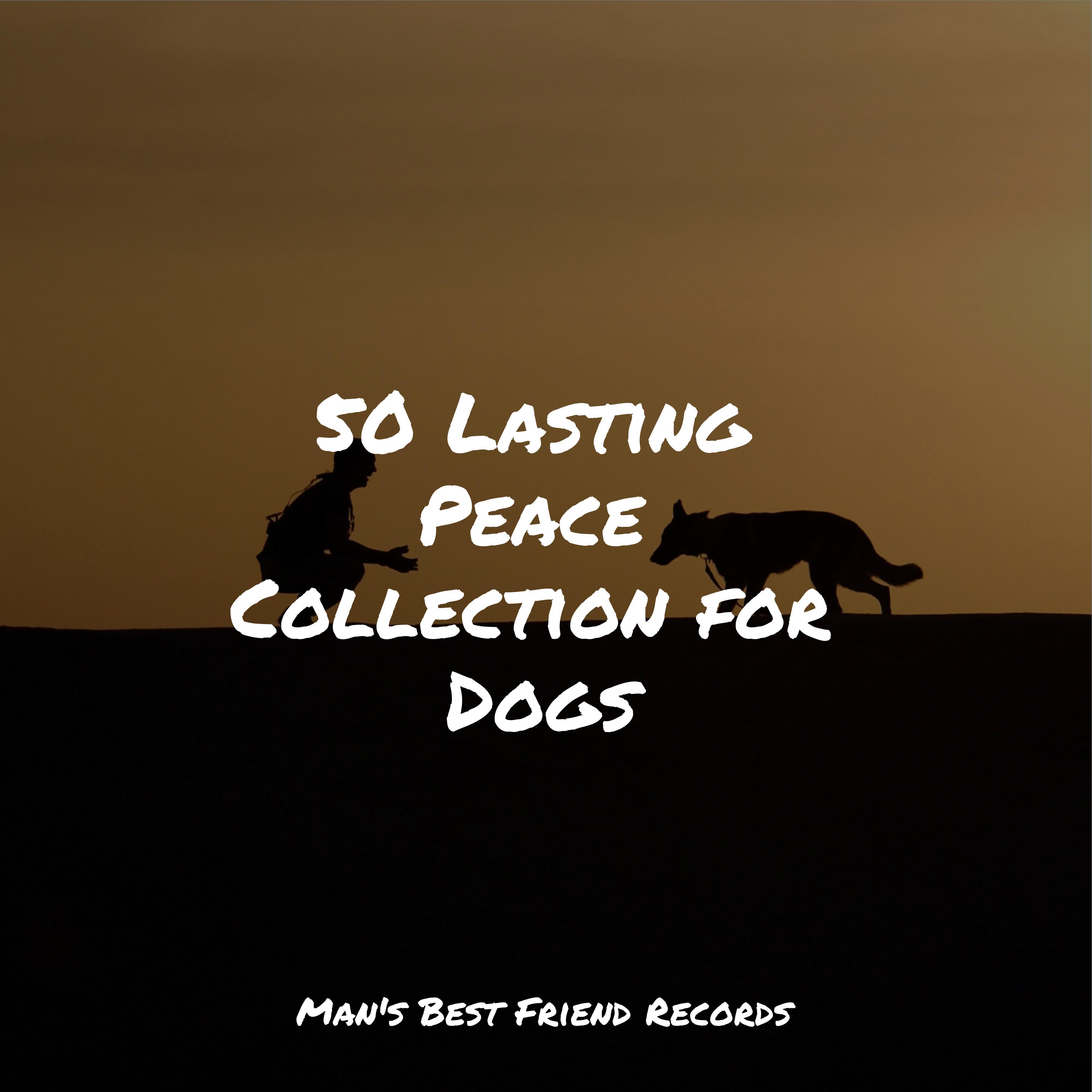 Pet Care Club Reviewssocial Post Detail - 8d23mky