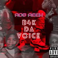 AOB Reek资料,AOB Reek最新歌曲,AOB ReekMV视频,AOB Reek音乐专辑,AOB Reek好听的歌