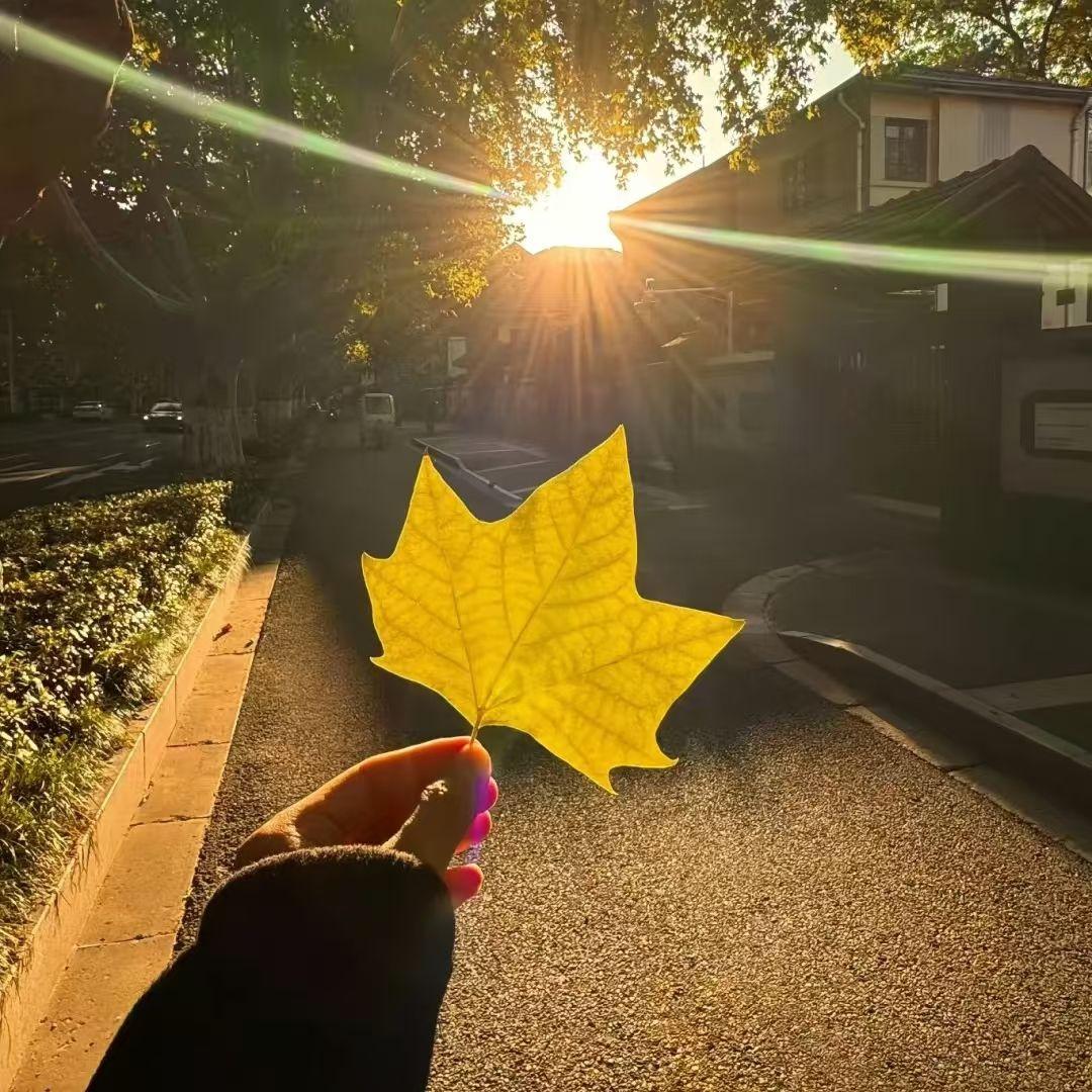 你给不起的爱封面