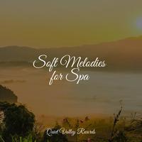 Soft Melodies for Spa For Dogs