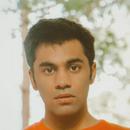 Karonik