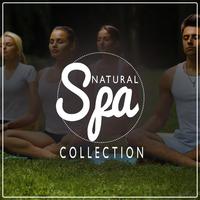 Natural Spa Collection