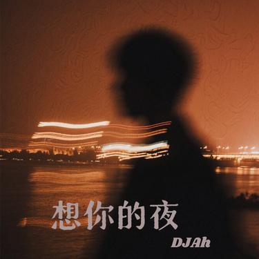 想你的夜 (DJ版)封面