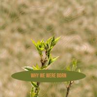 Why We Were Born