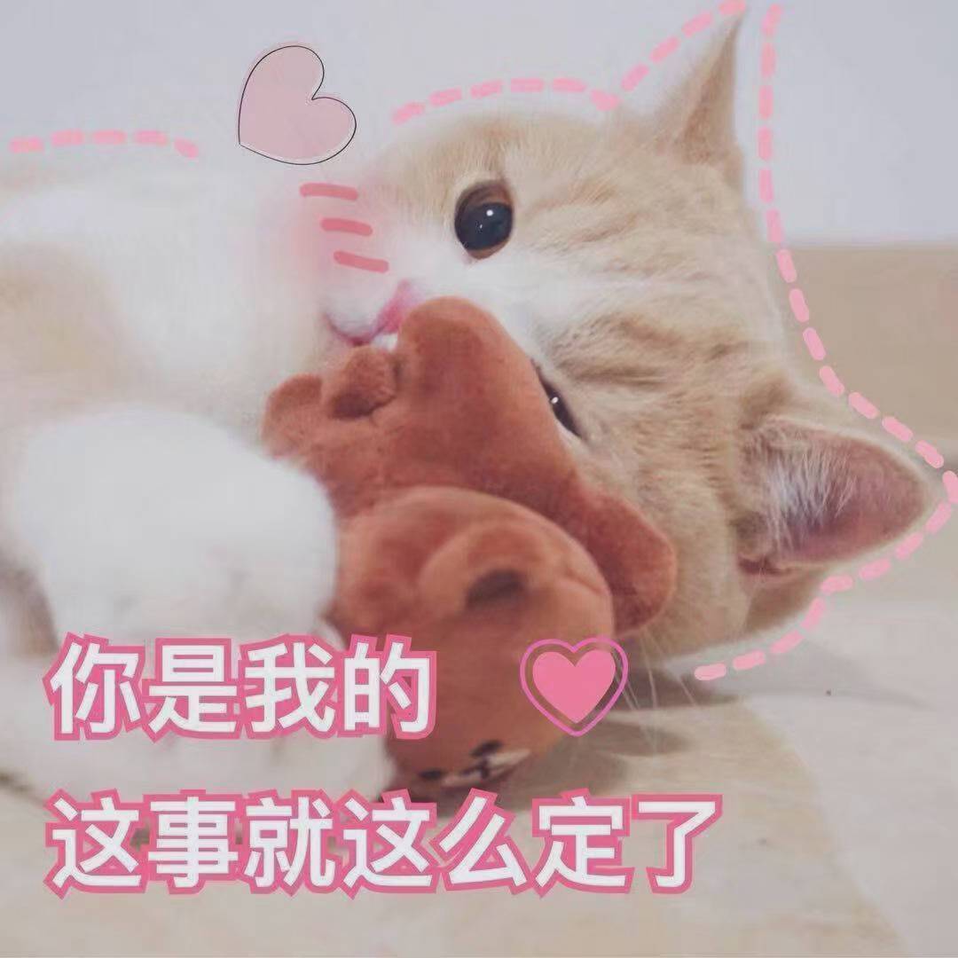 爱的心跳声封面