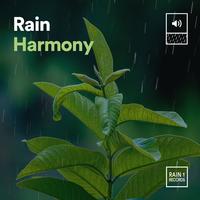Yoga Rain - Rain Harmony, Pt. 9