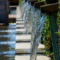 Gentle Piano Music and Water Sounds then Birds