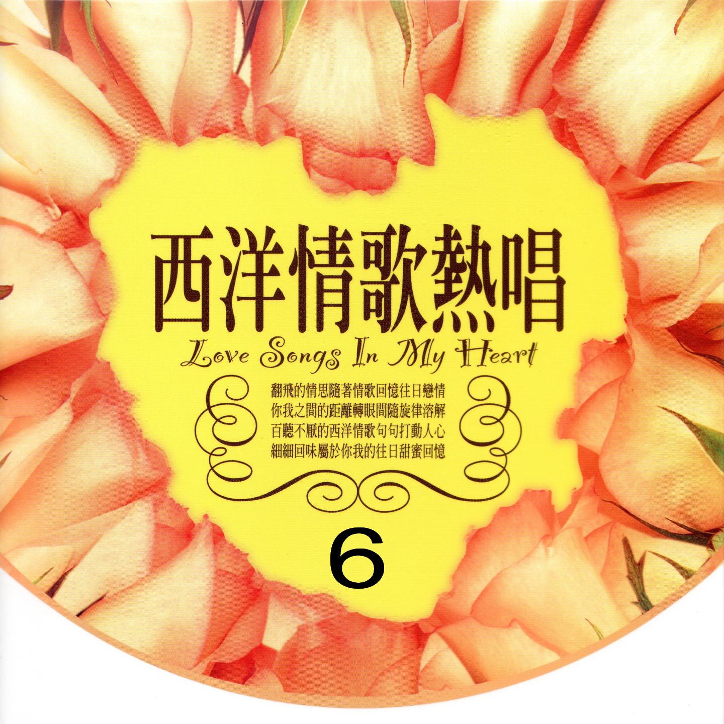 I will follow him、I will always love you、A whole new world 、Every time you go away、The power of love、Take my breath away、Against all odds、4:55、........ (我將追隨他、我永遠愛你、全新世界、每當你離去、愛的權利、奪走我的呼吸、靠所有的機會、四點五十五分......)封面