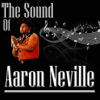 The Sound Of Aaron Neville