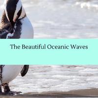 The Beautiful Oceanic Waves