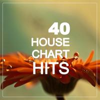 40 House Chart Hits